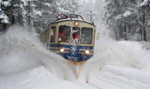 Scopri di più sull'articolo TRENO CENTOVALLI E RISOTADA DI CARNEVALE A LOCARNO